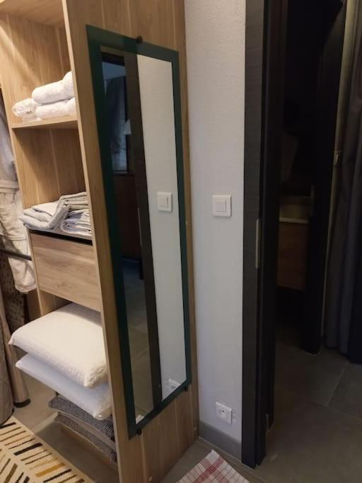 Appartement-Terrasse Parking Prive Meuble De Tourisme 4 Etoiles ベルフォール エクステリア 写真